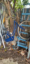 bici cinzia 