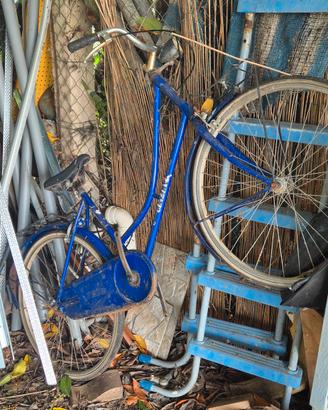 bici cinzia 