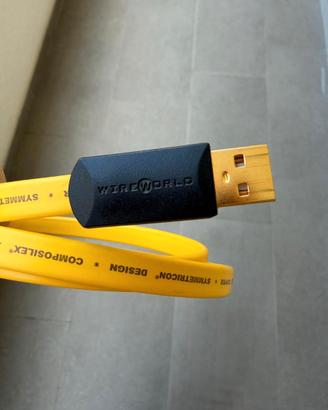 Cavo USB 2.0 WireWorld Chroma 1 mt