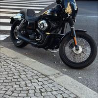 Harley dyna street bob