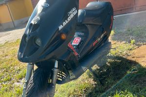 Malaguti Phantom F12