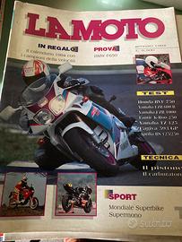 Piccolo trasportino per animali in plastica