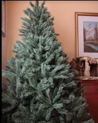 Albero di Natale di 240 cm