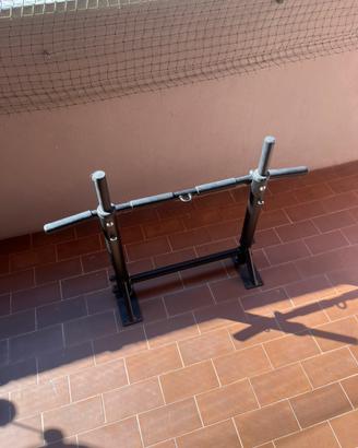 Barra trazioni professionale