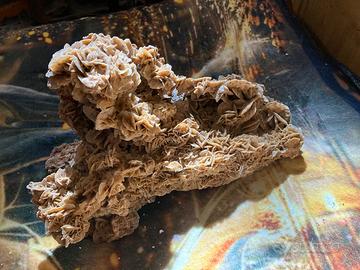 Minerale rosa del deserto XXL