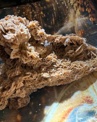 Minerale rosa del deserto XXL