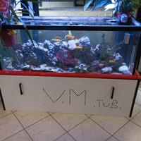 Acquario
