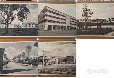 5 cartoline d’epoca Littoria.