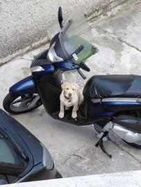 SH 150