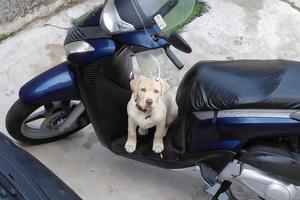SH 150