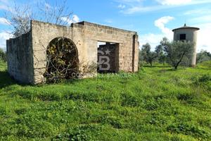 Masseria - Galatina