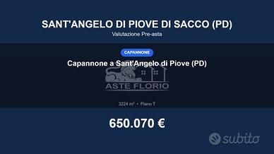 Immobile in asta di 3224 m² a Sant'Angelo di Piove