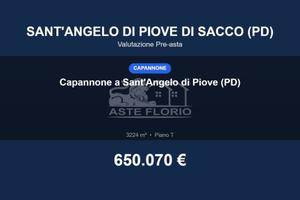 Immobile in asta di 3224 m² a Sant'Angelo di Piove