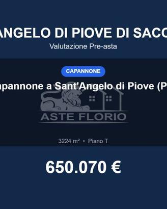 Immobile in asta di 3224 m² a Sant'Angelo di Piove