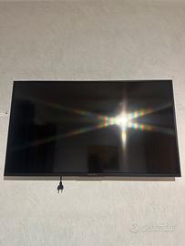 Sony 43 pollici