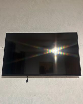Sony 43 pollici