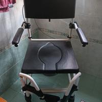 sedia per disabili 