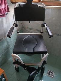 sedia per disabili 