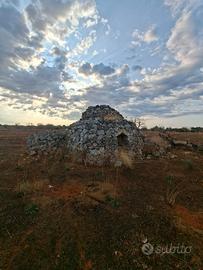 Terreno agricolo località Mascarane