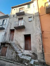 Terratetto lagonegro