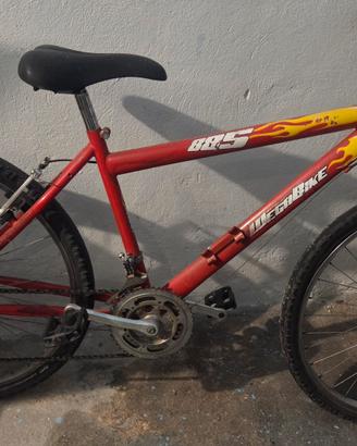 bici uomo 