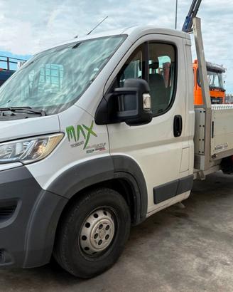 FIAT DUCATO MAXI 250 Camion/ Fisso