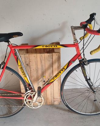 Bici da corsa Gotti