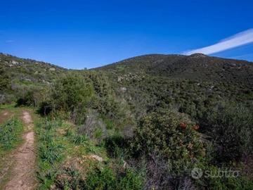 Terreno Agricolo Olbia