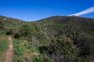 Terreno Agricolo Olbia