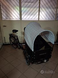Bicicletta Cargo bike 