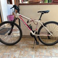 Skilled montain bike
