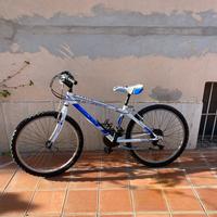 Mauntain bike