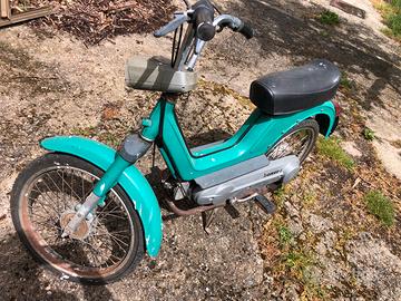 Boxer piaggio