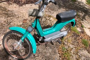 Boxer piaggio