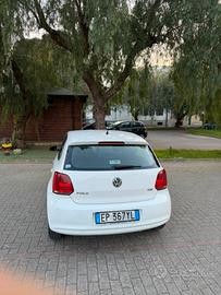 Polo 5 serie