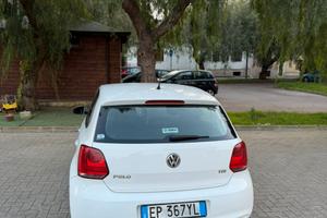 Polo 5 serie