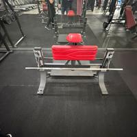 Panatta multimotion bench