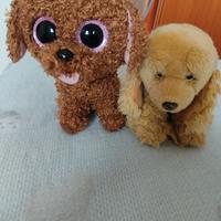 sono dei peluche 