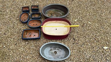 vasi bassi per bonsai