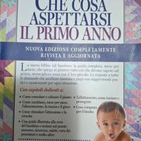 Che cosa aspettarsi il primo anno Heidi Murkoff