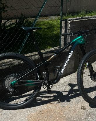 Bici scalpel 1