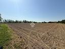 ter-agricolo-a-mirano