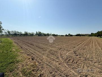TER. AGRICOLO A MIRANO