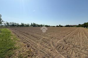 TER. AGRICOLO A MIRANO