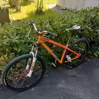 bicicletta 
