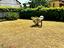Immagine 22