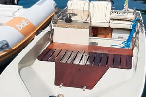 boston whaler 15 
