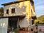 Immagine 7