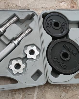 Kit 20 kg coppia manubri pesi valigetta palestra 