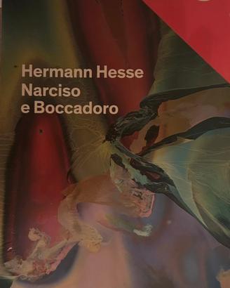 Narciso e Boccadoro di Hermann Hesse